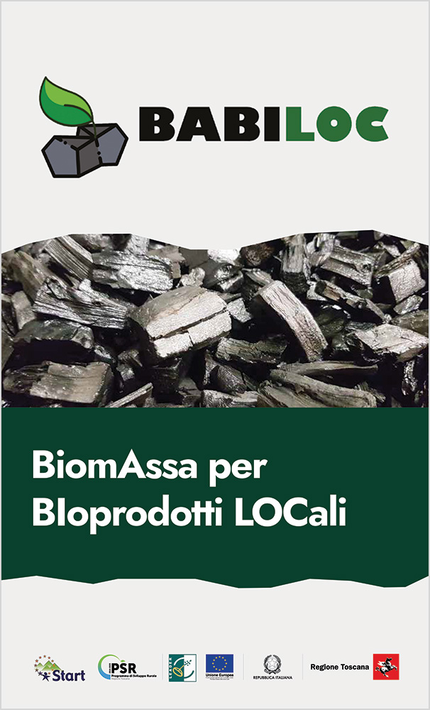 Babiloc-BiomAssa_per_Bloprodotti_LOCali-Depliant.jpg