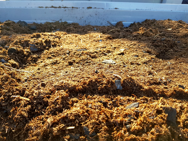 COMBI prodotto da separato solido di digestato da processo di digestione anerobica, co-compostato con biochar da castagno.